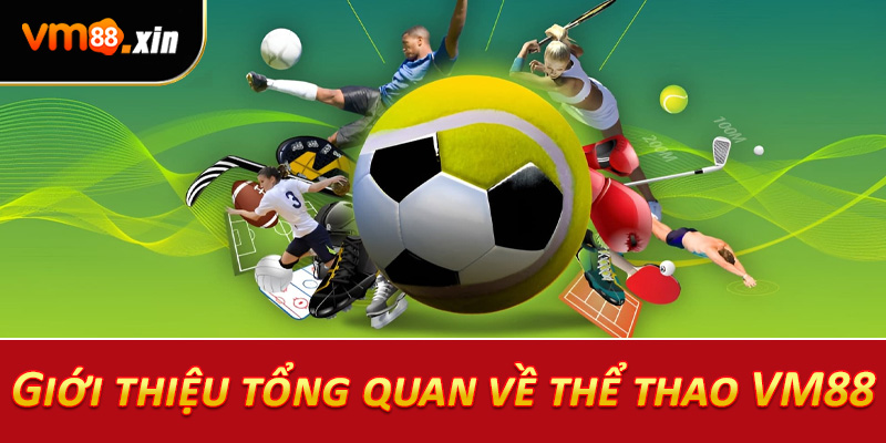 Giới thiệu tổng quan về thể thao VM88