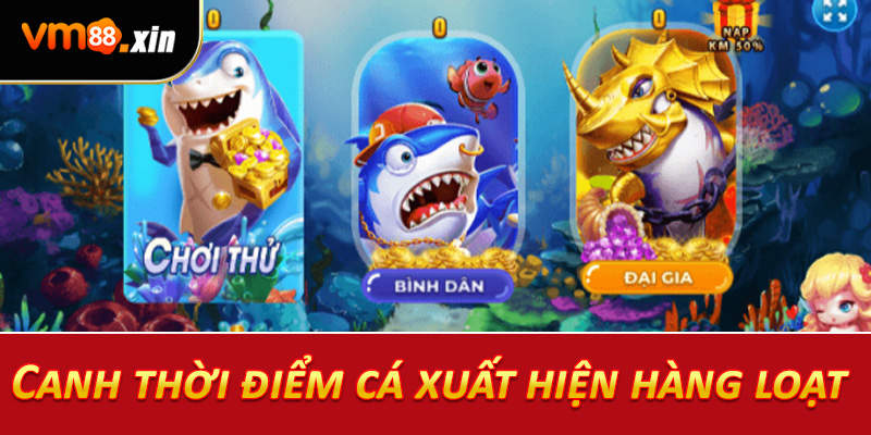 Canh thời điểm cá xuất hiện hàng loạt