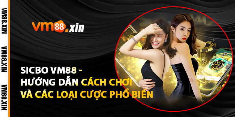 Sicbo VM88 - Hướng Dẫn Cách Chơi Và Các Loại Cược Phổ Biến